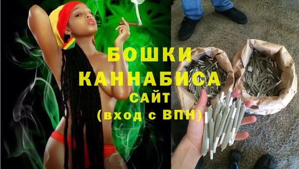 прущие грибы Нестеровская