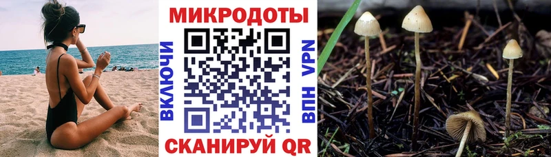 закладки  Пермь  Псилоцибиновые грибы Magic Shrooms 
