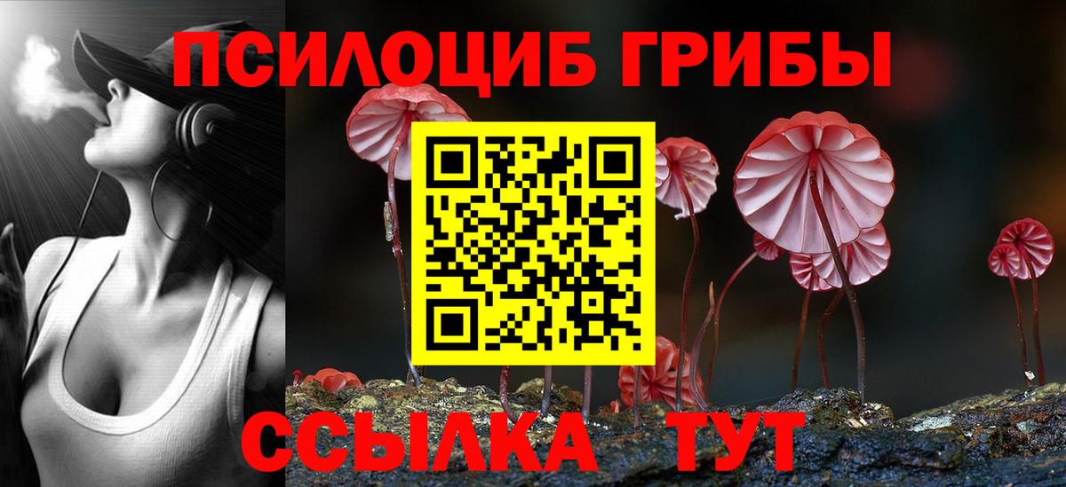 Пермь  сколько стоит  Галлюциногенные грибы MAGIC MUSHROOMS  Вход с VPN  Галлюциногенные грибы ЛСД 